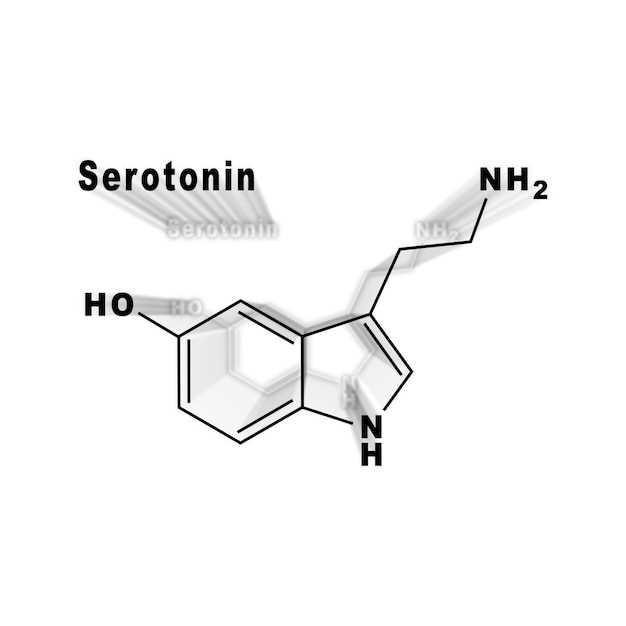 How Sertraline Works