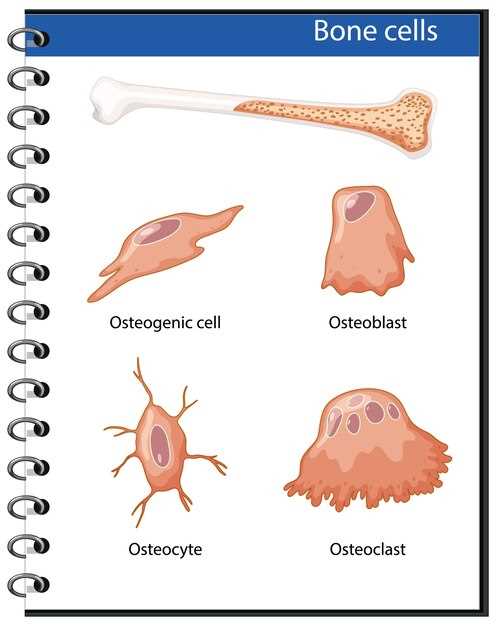 Escitalopram espasmos musculares