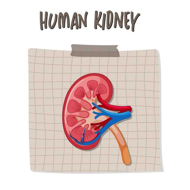 Escitalopram renal impairment