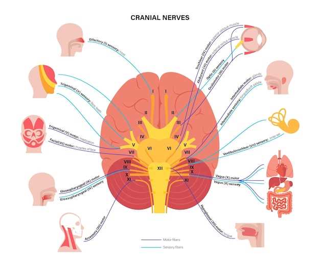 Escitalopram y cefaleas